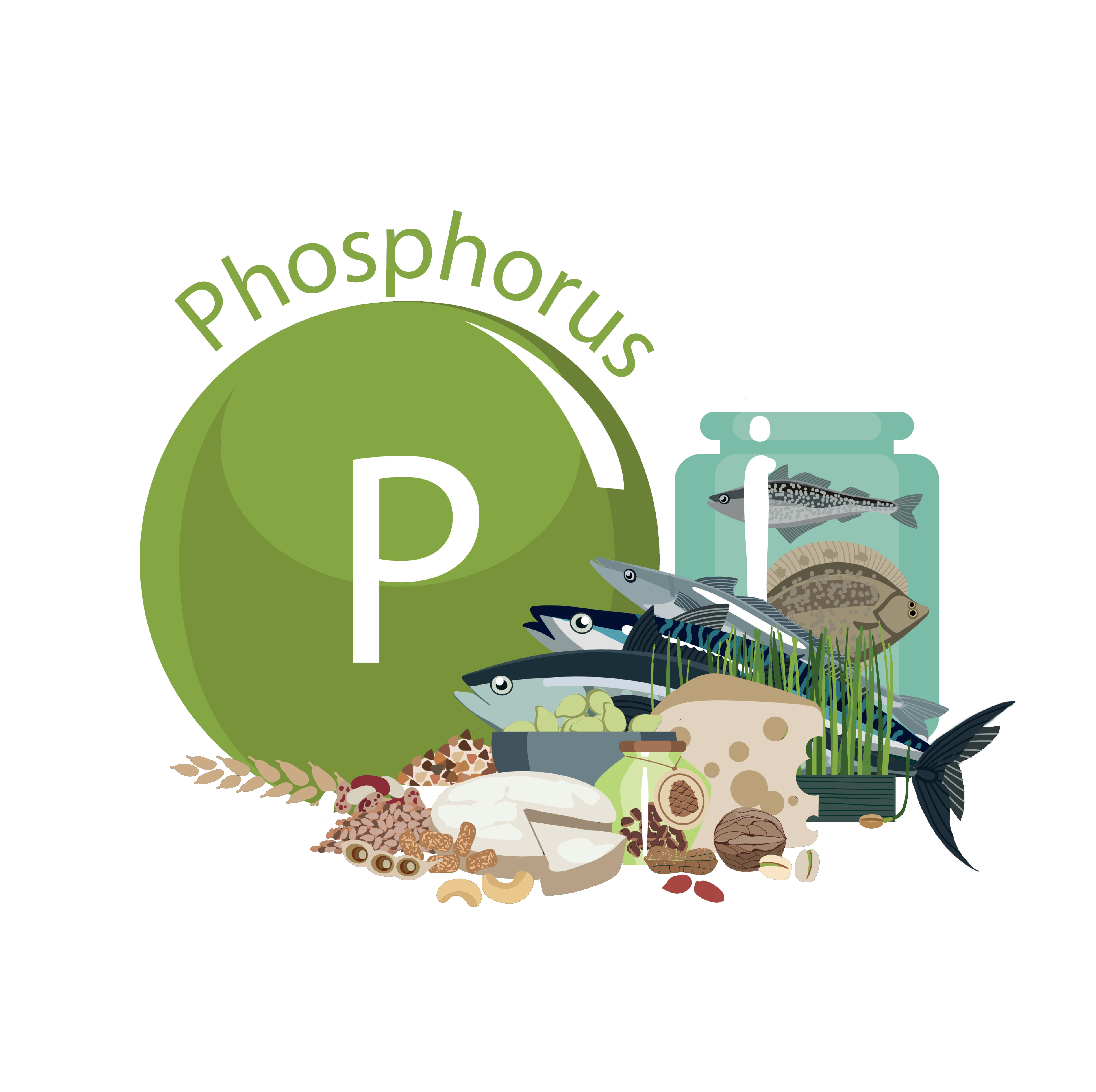 How much phosphorus should I have?